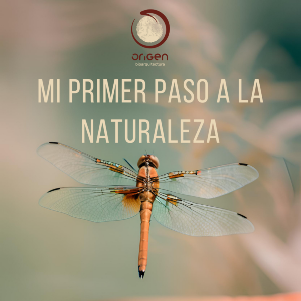 Mi primer paso a la Naturaleza